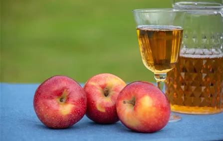 rote Äpfel rote Äpfel