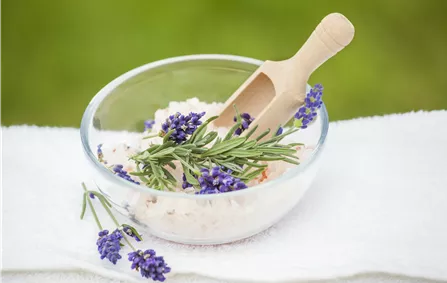 Lavendel Badesalz Lavendel Badesalz