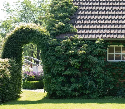 Erstbesichtigungstermin Gartenbau Erstbesichtigungstermin Gartenbau